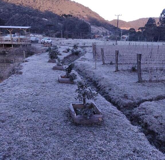 بنسيون Pousada Nó De Pinho