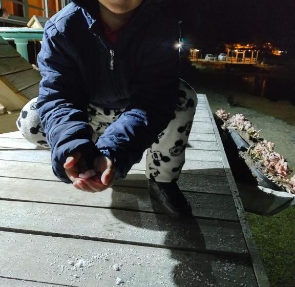 بنسيون Pousada Nó De Pinho