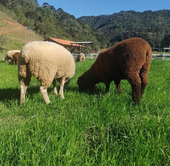 بنسيون Pousada Nó De Pinho