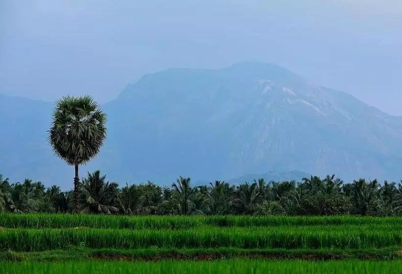 Majatalo Royal Cottage, Anaimalai