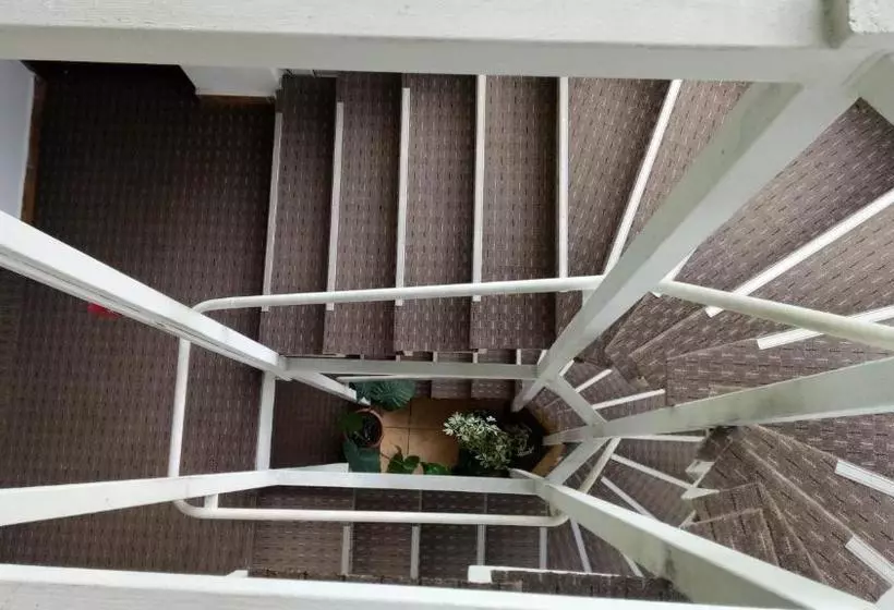 Hostel La Conu Iancu