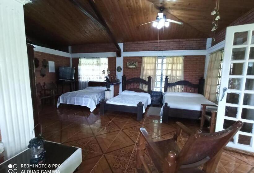 בית מלון כפרי Villa Monica