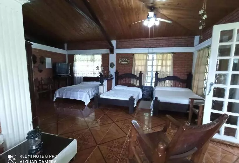 ホテル Villa Monica