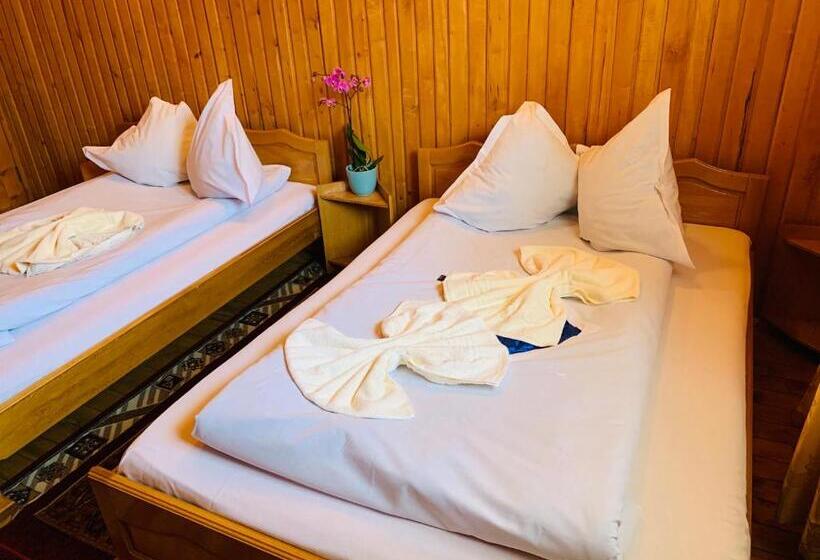 ペンション Casa Andu