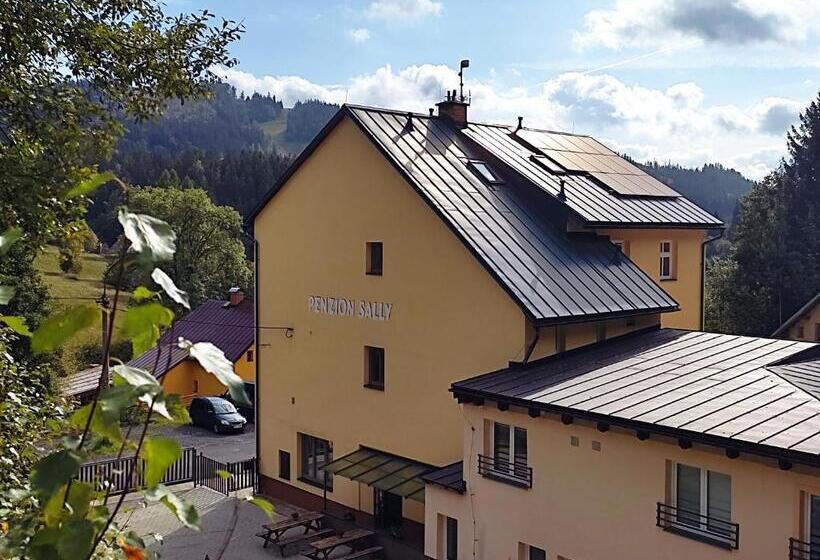 펜션 Penzion Sally