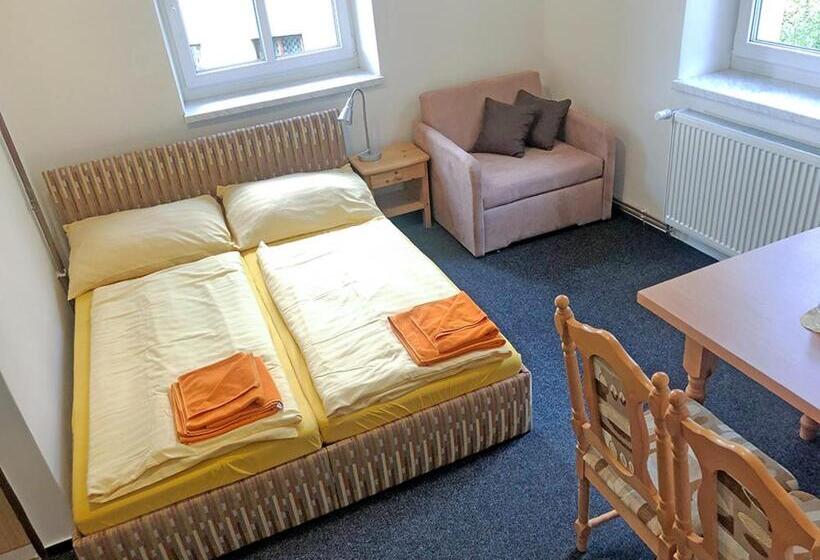 펜션 Penzion Sally