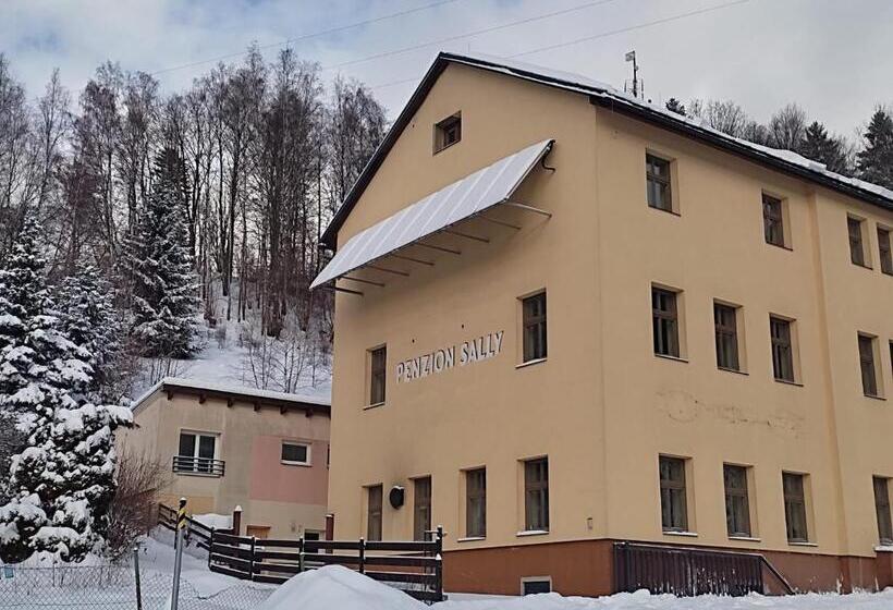 펜션 Penzion Sally