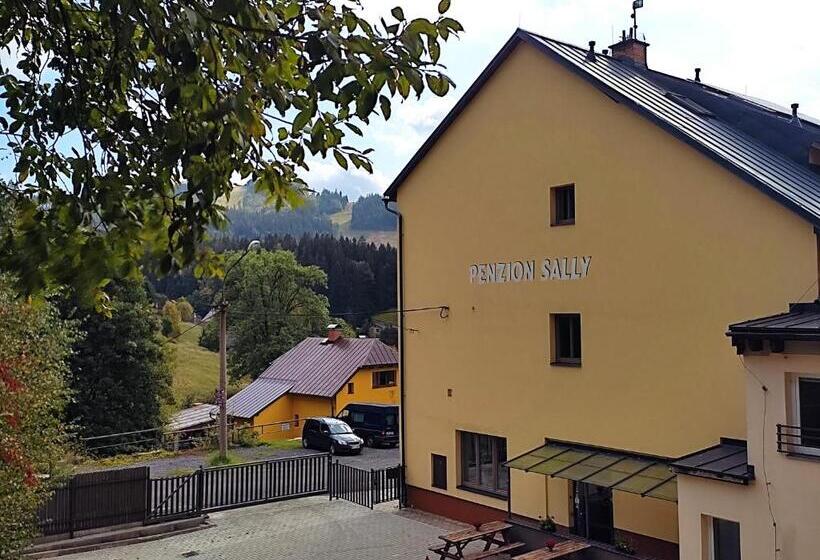 펜션 Penzion Sally