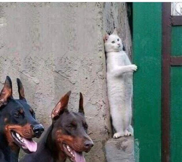 Пансион Penzion Trámky