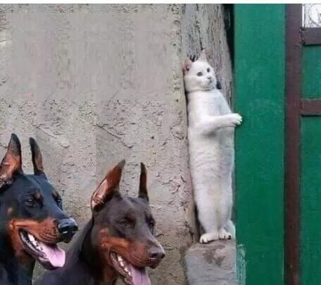 ペンション Penzion Trámky