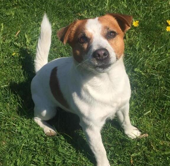 Пансион Penzion Trámky