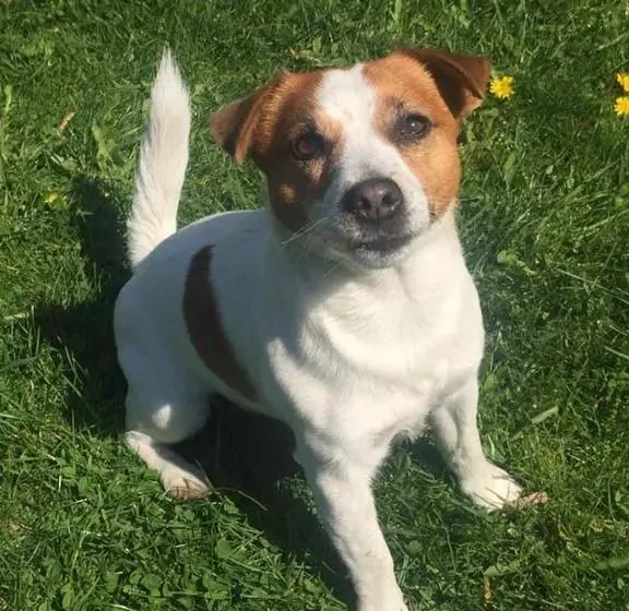 ペンション Penzion Trámky