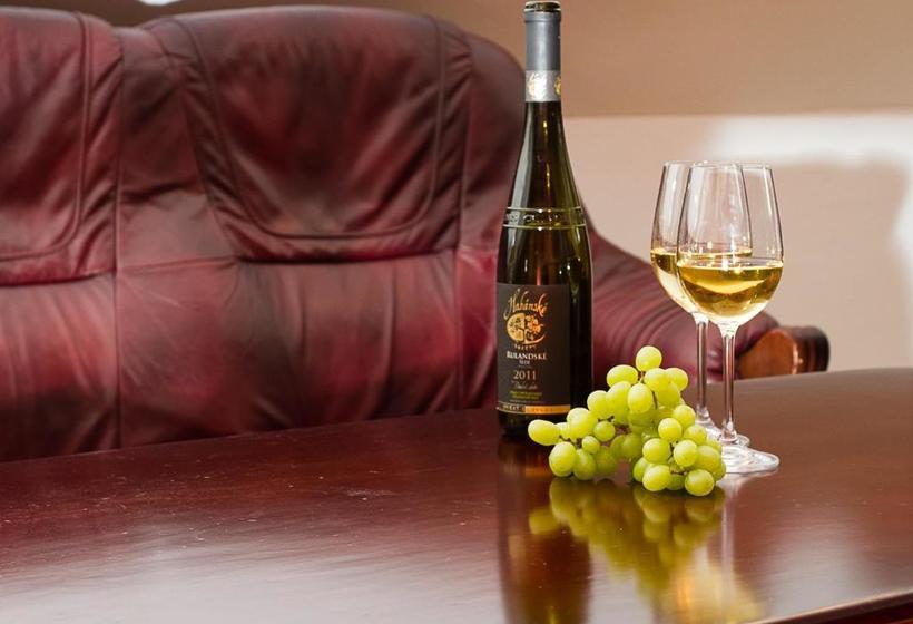 ペンション Zámecký Penzion Kopeček