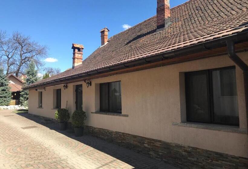 Pensiunea Haiduc Sacele Brasov