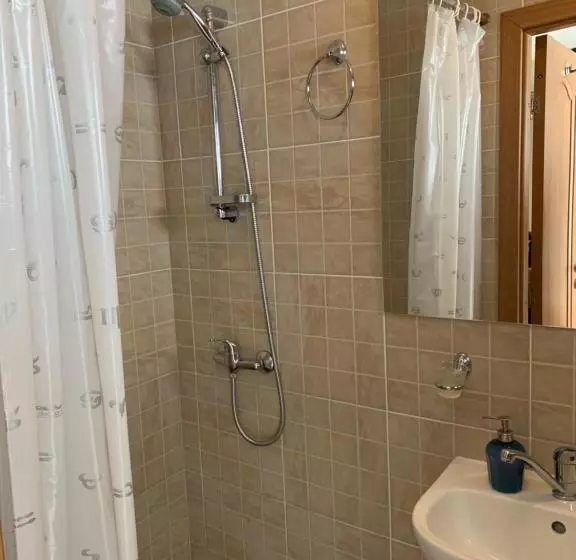 Pensiunea Haiduc Sacele Brasov