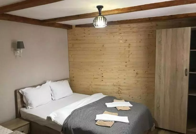 Pensiunea Haiduc Sacele Brasov