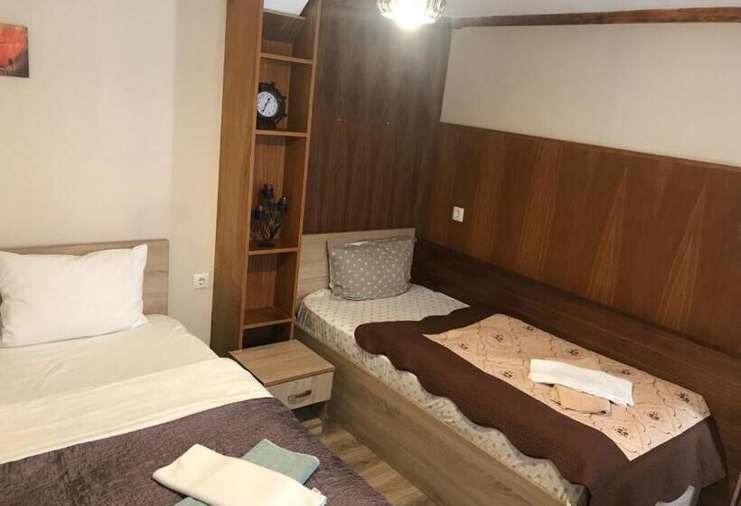 Pensiunea Haiduc Sacele Brasov