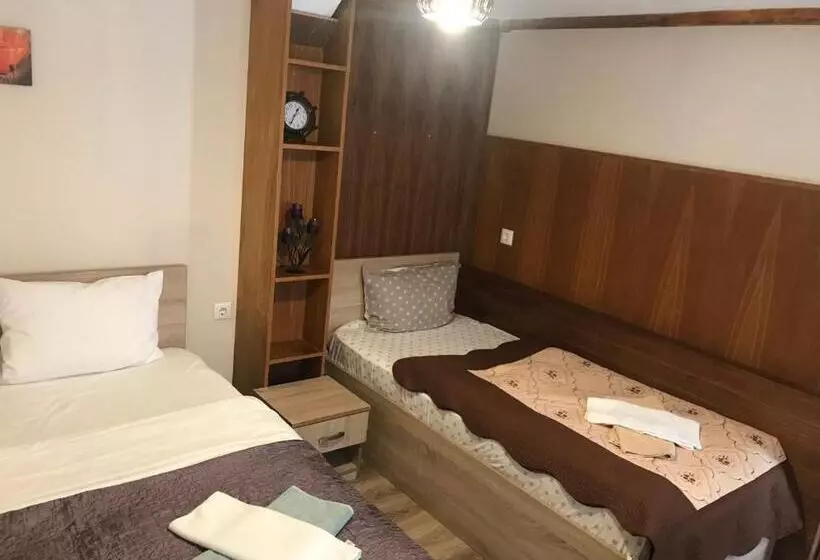 Pensiunea Haiduc Sacele Brasov