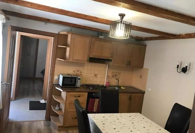 Pensiunea Haiduc Sacele Brasov