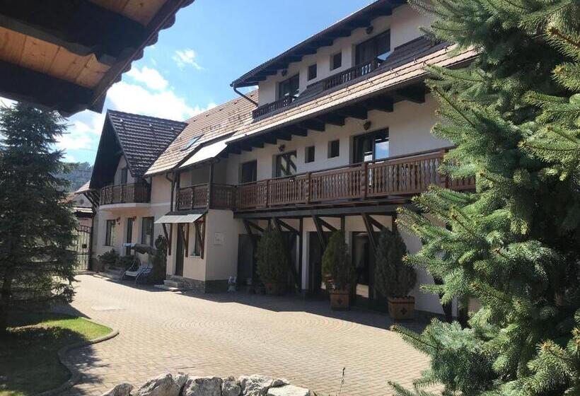 Pensiunea Haiduc Sacele Brasov