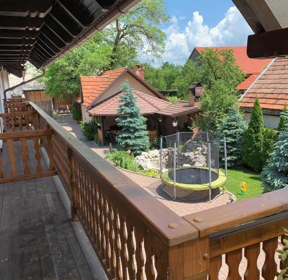 Pensiunea Haiduc Sacele Brasov