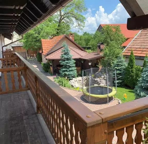 Pensiunea Haiduc Sacele Brasov