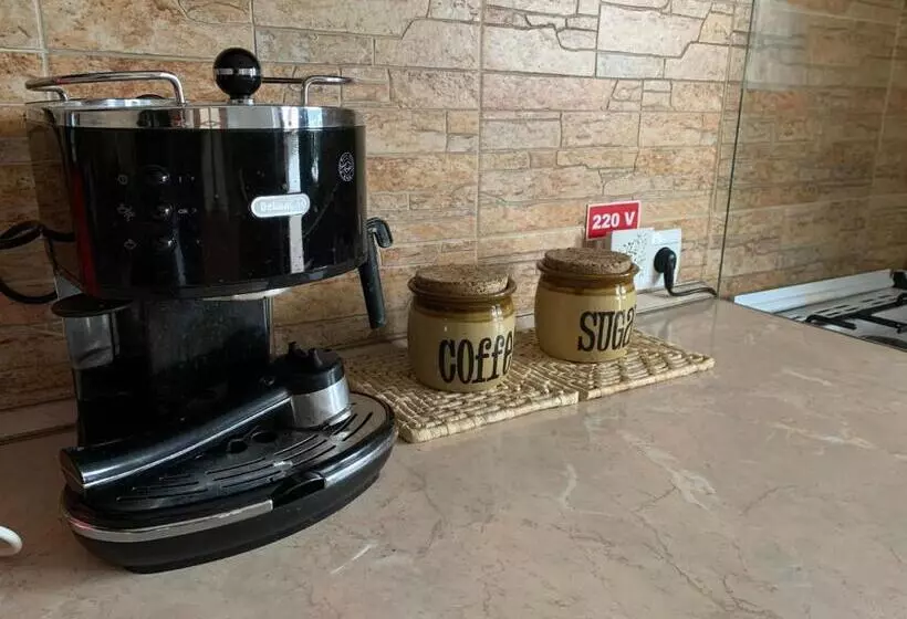 Pensiunea Haiduc Sacele Brasov