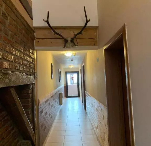 Pensiunea Haiduc Sacele Brasov