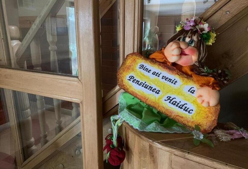 Pensiunea Haiduc Sacele Brasov