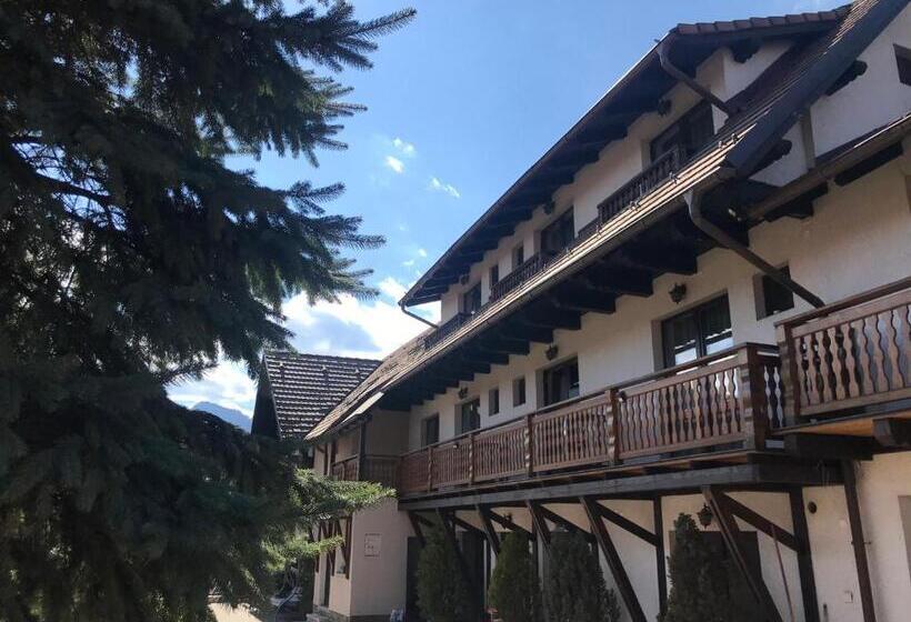 Pensiunea Haiduc Sacele Brasov