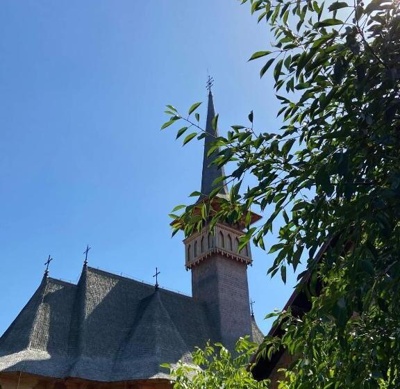 Pensiunea Montana Sapinta