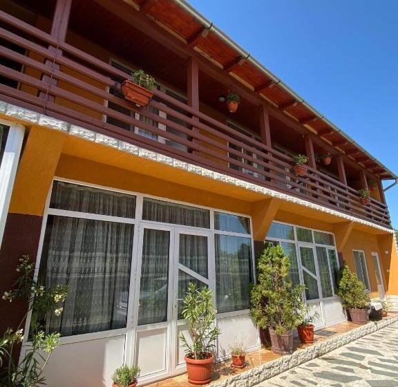 Pensiunea Montana Sapinta