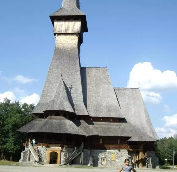 Pensiunea Montana Sapinta