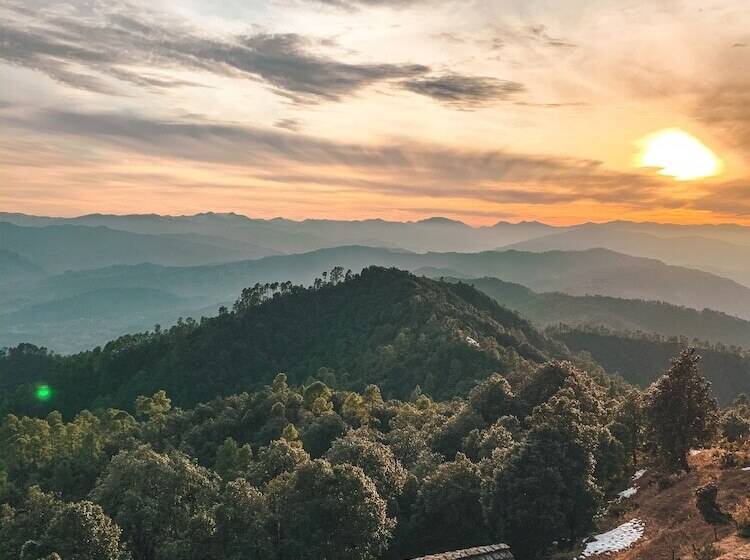 리조트 Tree Of Life Grand Oak Manor Binsar