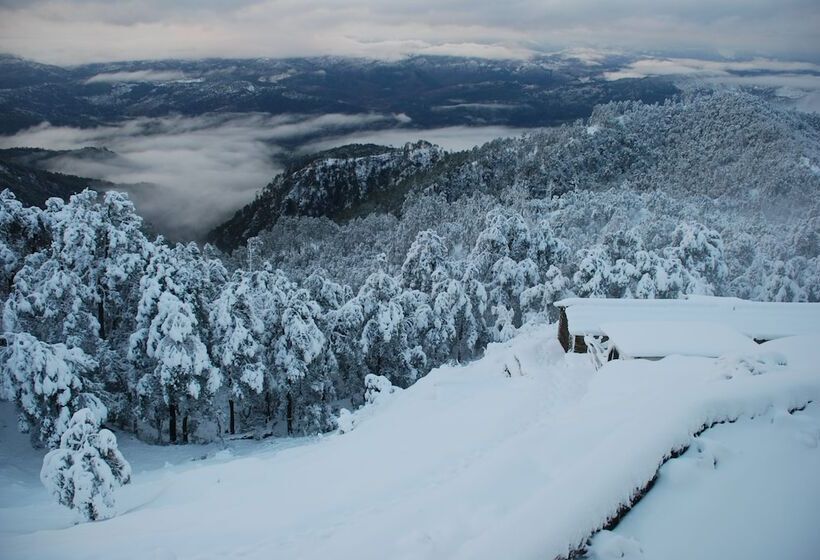 리조트 Tree Of Life Grand Oak Manor Binsar