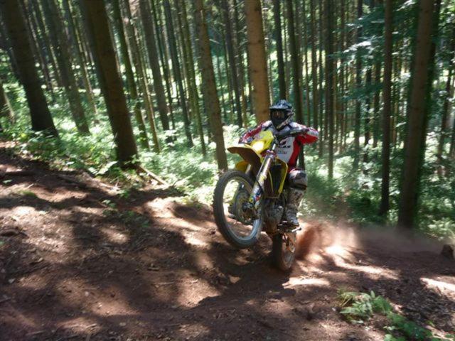 Wellness Pension Iveta