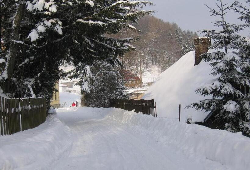 Wellness Pension Iveta