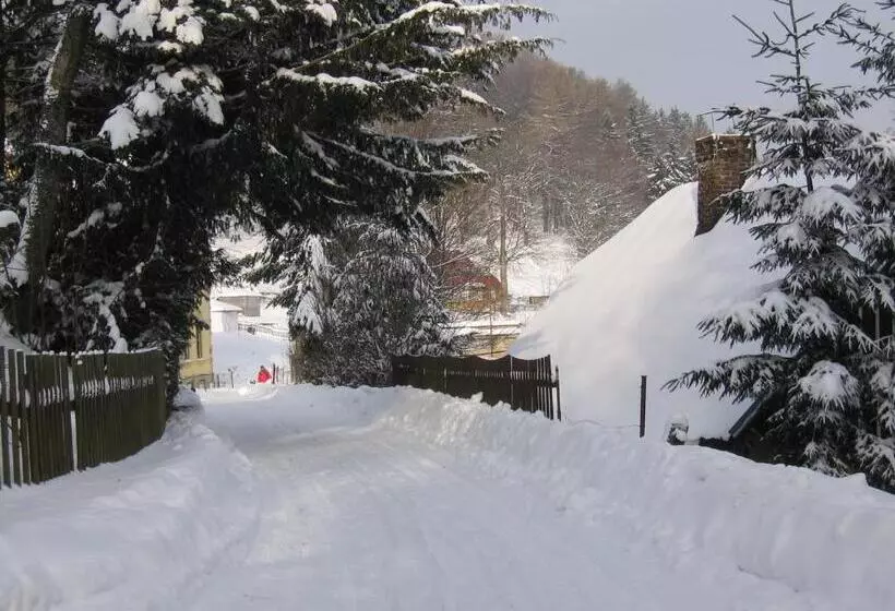 Wellness Pension Iveta