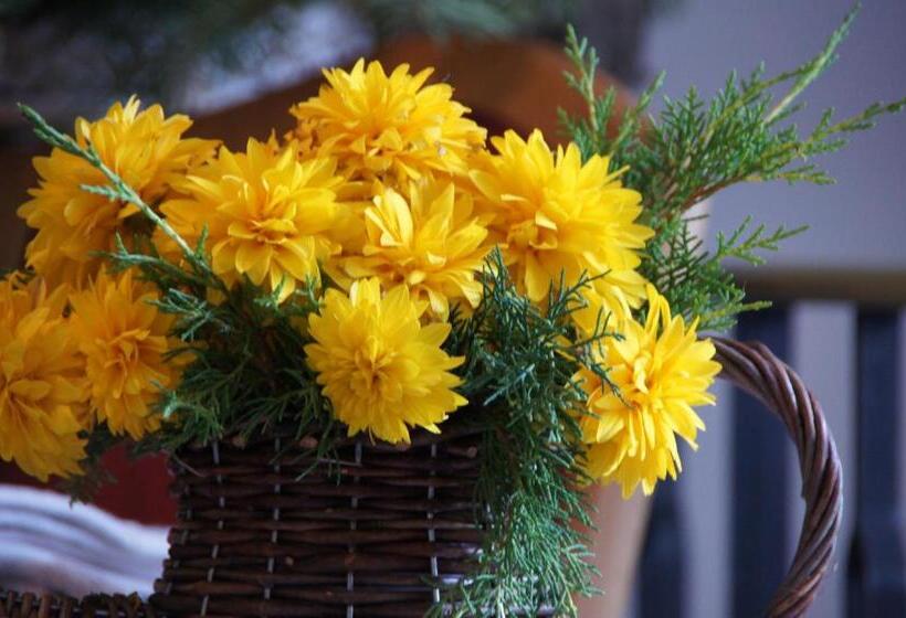 酒店 Garni La Ciasota 3s