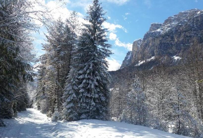 酒店 Garni La Ciasota 3s