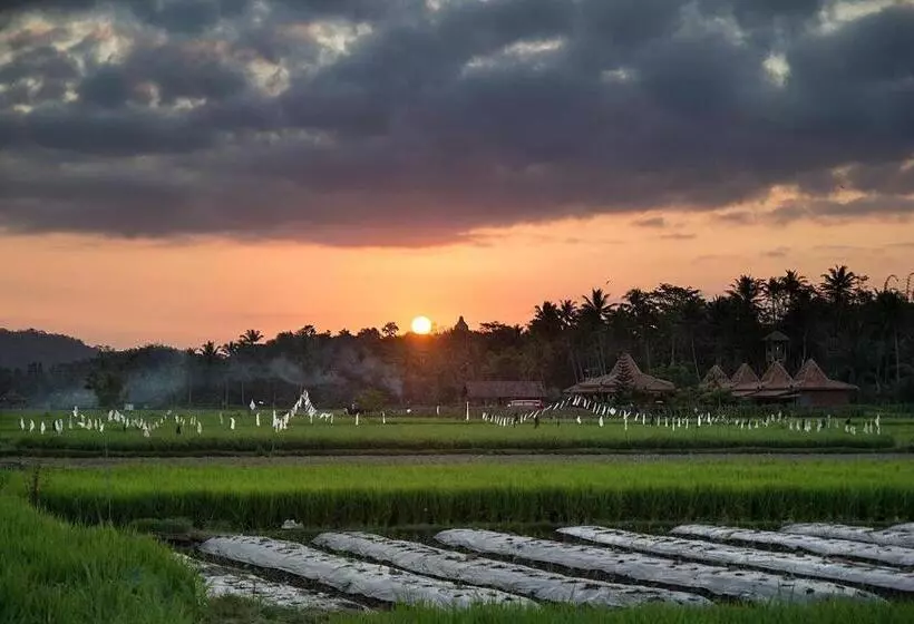 Pansiyon Rumah Dharma
