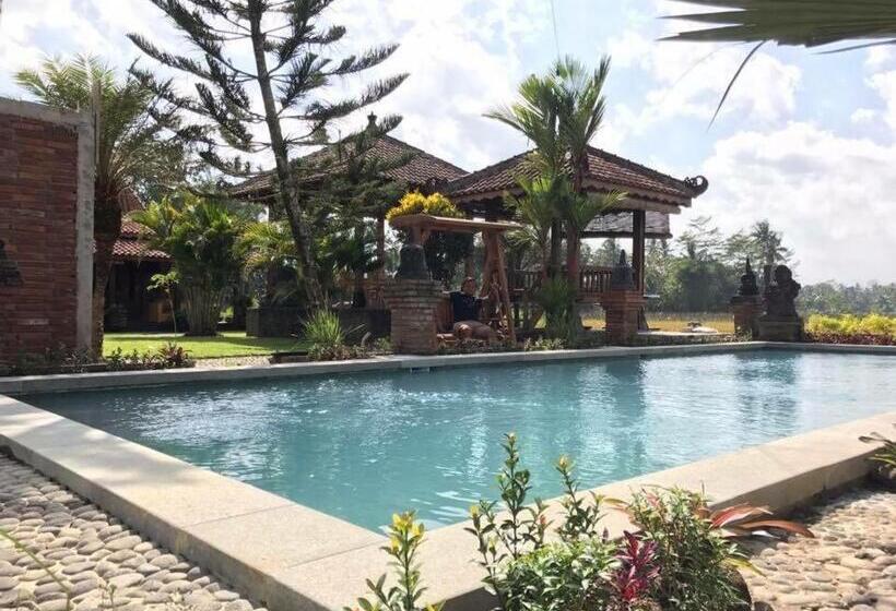 פנסיון Rumah Dharma