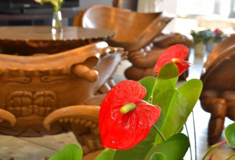 בית מלון כפרי Yatomisou