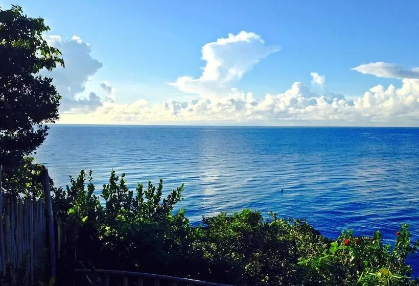 Bohol Lahoy Dive Resort