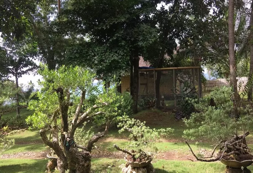 Bohol Lahoy Dive Resort