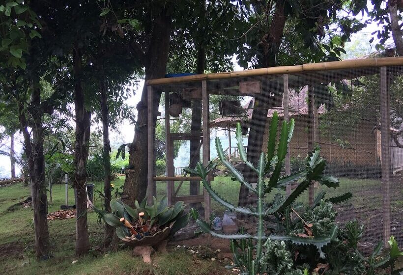 Bohol Lahoy Dive Resort