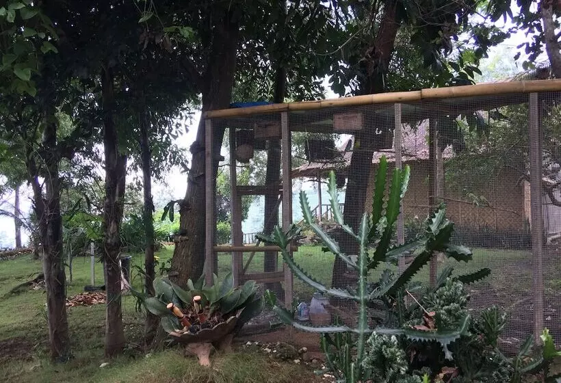 Bohol Lahoy Dive Resort