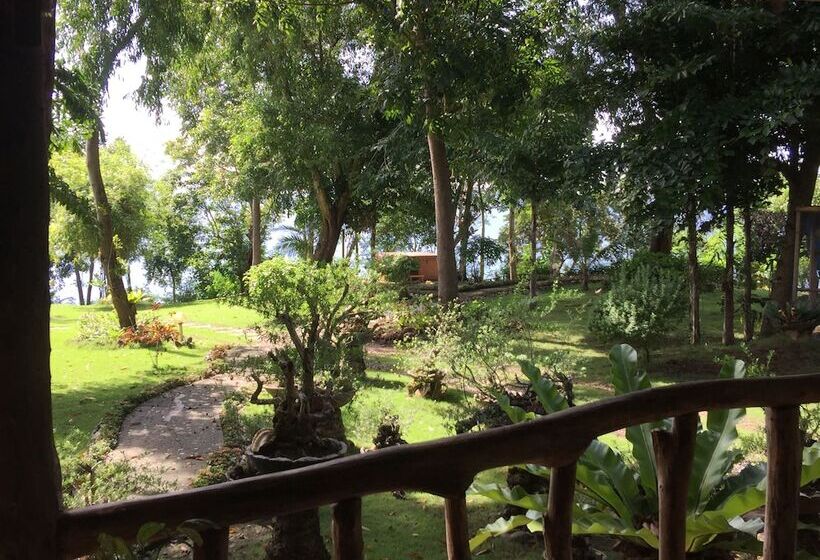 Bohol Lahoy Dive Resort