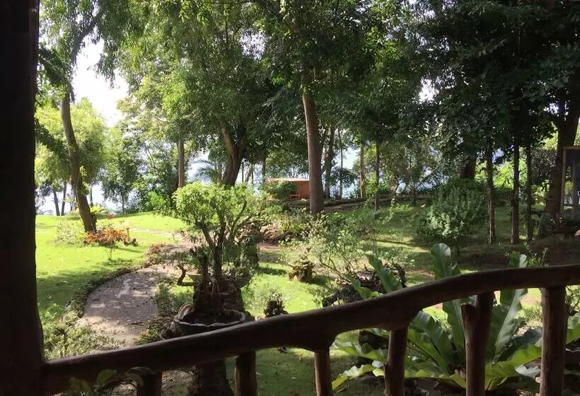 Bohol Lahoy Dive Resort