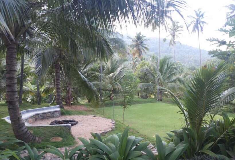 בית מלון כפרי Brook Boutique